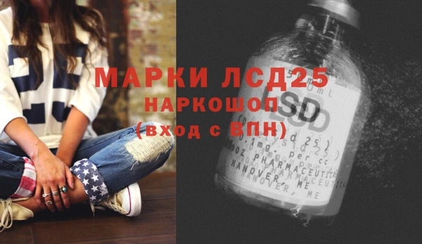 прущий лед Вяземский