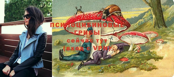 сатива Волосово